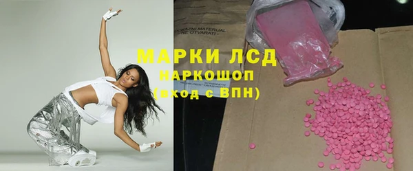 прущие грибы Саяногорск